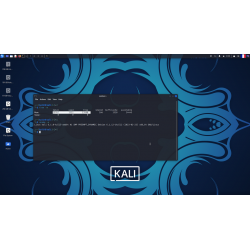 Clé USB Kali Linux 2023.1 Bootable