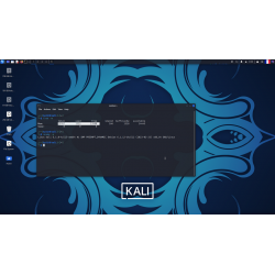 Clé USB Kali Linux 2023.1 Bootable + Persistance