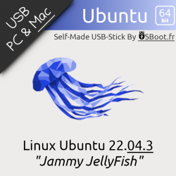 Clé USB Ubuntu 22.04.3...