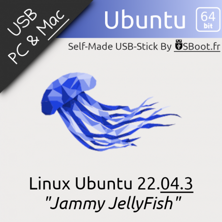 Clé USB Ubuntu 22.04.3 Jammy JellyFish
