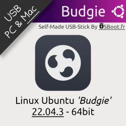 Clé USB Bootable Linux Ubuntu 22.04.3 Budgie