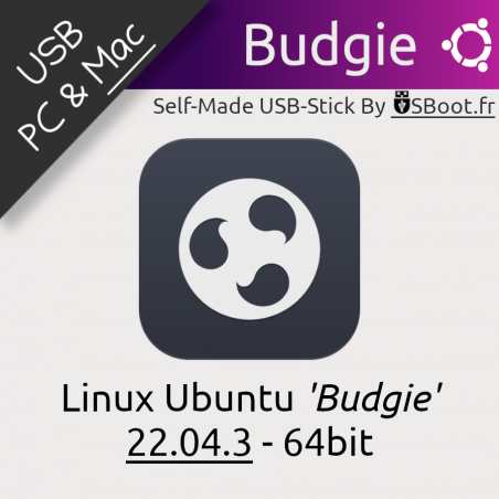 Clé USB Bootable Linux Ubuntu 22.04.3 Budgie