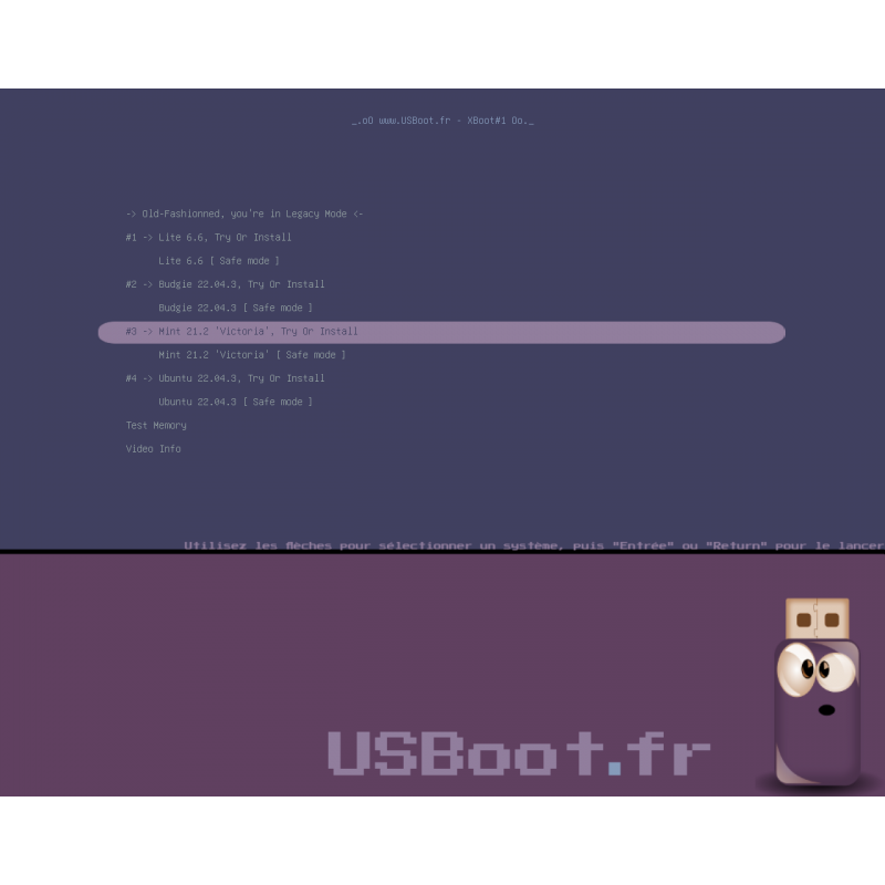 Clé USB Linux MultiBoot Préparée Bootable Ubuntu, Lite, Mint, Budgie