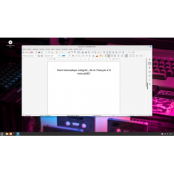Clé USB Linux Mint 21.3 Préparée Bootable
