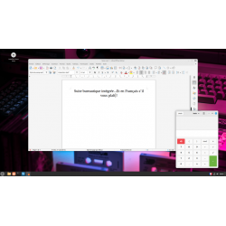 Clé USB Linux Mint 21.3 Préparée Bootable