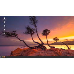 Clé USB Linux Mint 21.3 Préparée Bootable
