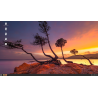 Clé USB Linux Mint 21.3 Préparée Bootable