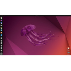 Clé USB Linux Ubuntu 22.04.4 Jammy JellyFish