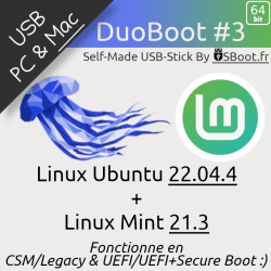 Clé USB MultiBoot live-test et installation Linux Mint et Ubuntu