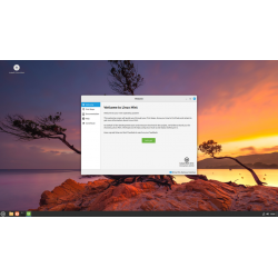 Clé USB MultiBoot live-test et installation Linux Mint et Ubuntu