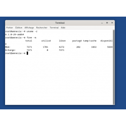 Clé USB Linux Bootable Tails 6.12 Tor OS
