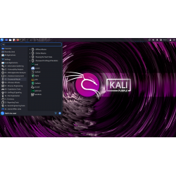 Kali Linux 2025.1c - Cléf USB Bootable Live & Install