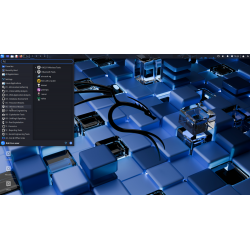 Kali Linux 2025.1c - Cléf USB Bootable Live & Install