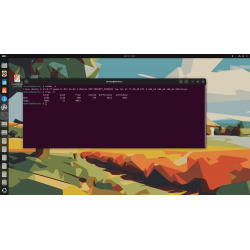 Clé USB Linux Ubuntu 24.04.3