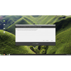 Disque DVD Linux Mint 19.3 Tricia 32bit & 64Bit