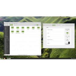 Disque DVD Linux Mint 19.3 Tricia 32bit & 64Bit