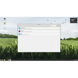 Clé USB Linux Mint 20.1 Ulyssa