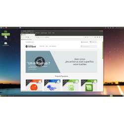 DVD Linux Ubuntu 18.04.5 Mate 32bit & 64Bit