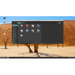 Clé USB Linux Mint 20.3 Una 64Bit