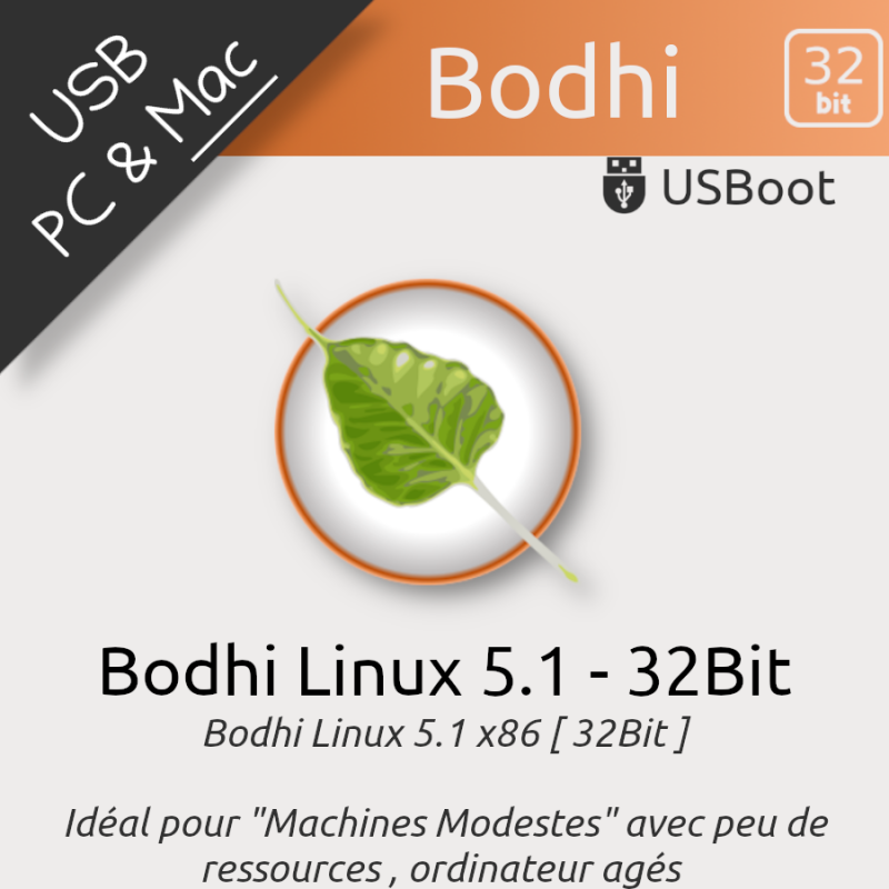 Clé USB Linux Bodhi 5.1 32bit