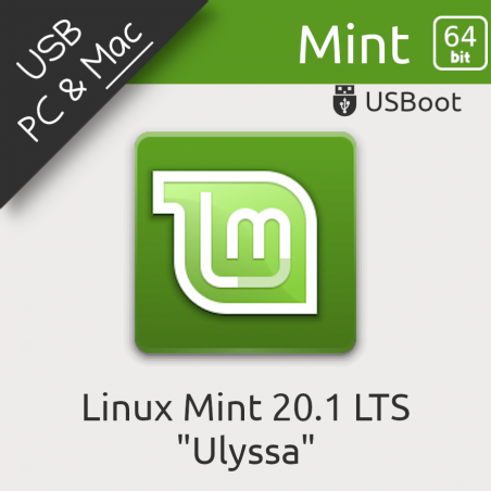 Clé USB Mint 20.1 Ulyssa