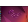 Clé USB Linux MultiBoot Ubuntu 22.04.1 & Mint 21.1