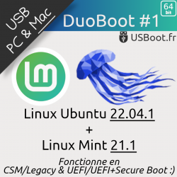 Clé USB Linux MultiBoot...