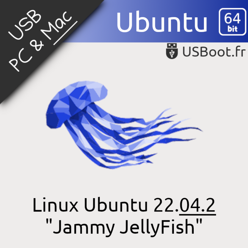 Clé USB Ubuntu 22.04.2 Jammy JellyFish