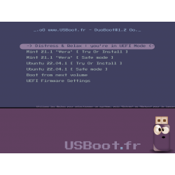 Clé USB Linux MultiBoot Ubuntu 22.04.1 & Mint 21.1